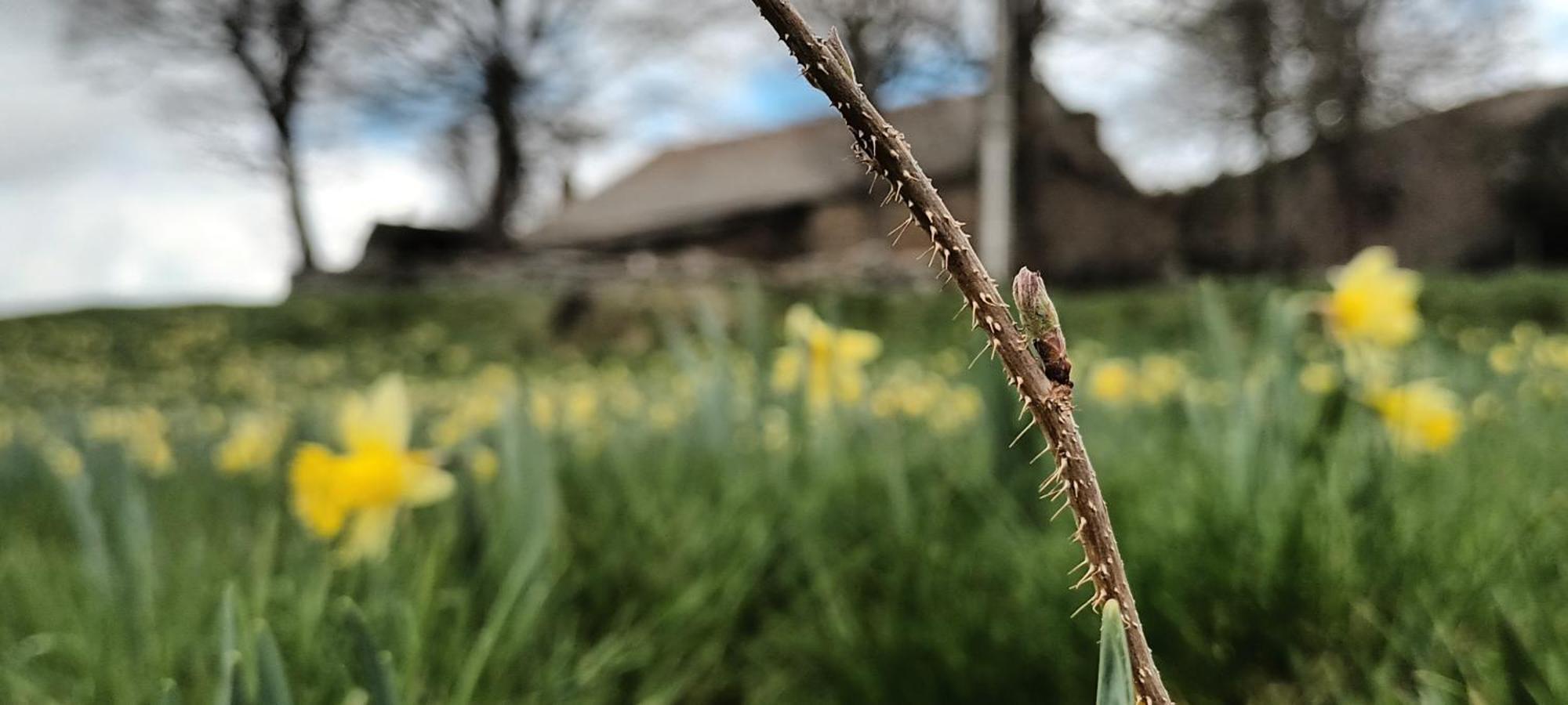 Vvf Haute Loire Saint-Julien-Chapteuil ภายนอก รูปภาพ