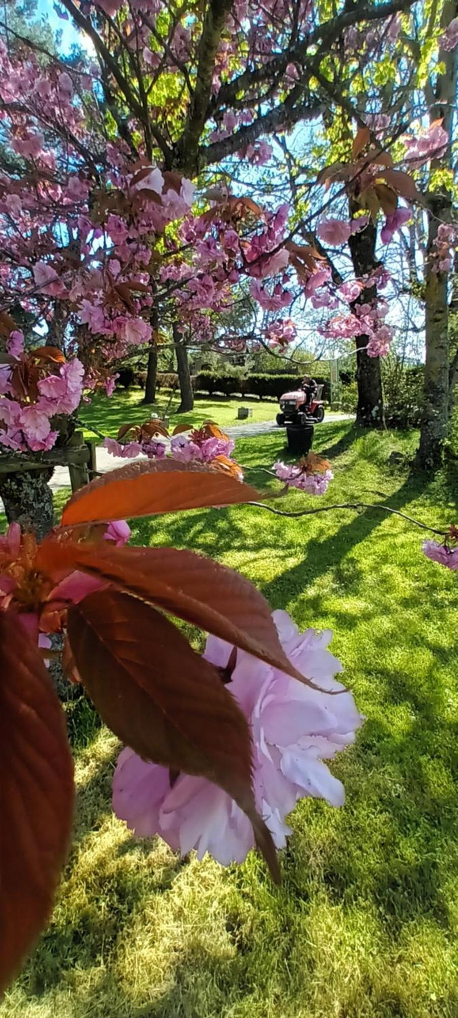 Vvf Haute Loire Saint-Julien-Chapteuil ภายนอก รูปภาพ