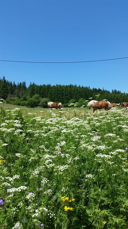 Vvf Haute Loire Saint-Julien-Chapteuil ภายนอก รูปภาพ